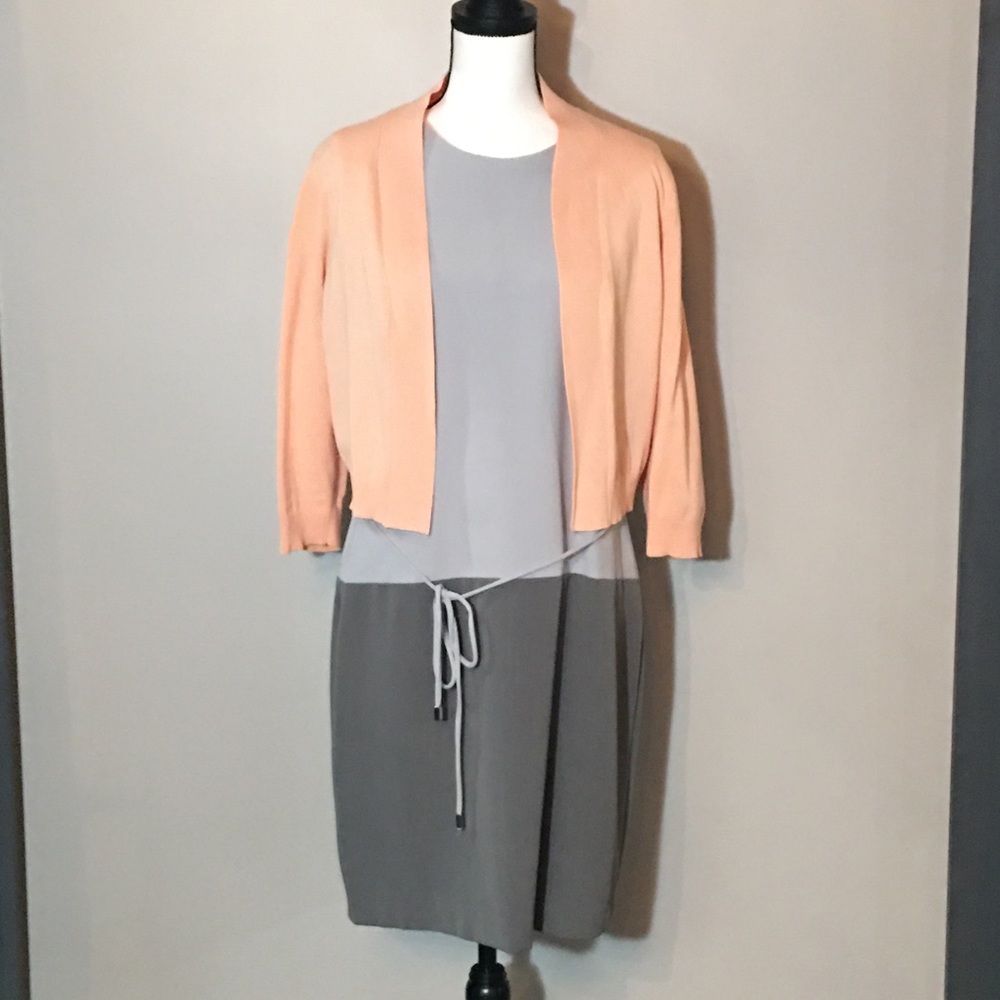 Sandra Darren Gray Peach Dress w/ Sweater Size 14
